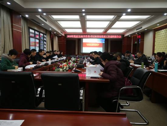 2018总支书记述职